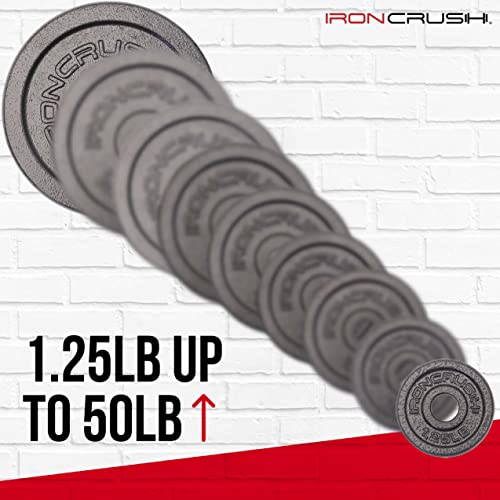 Standard 1 inch Cast Iron Weight plates - Superior Hammertone Finish, Wider Range 1.25-50 lbs Weights. Ideal for Dumbbell Handles, 1in Barbells, Adjustable Kettlebell Handles - Sold in Pairs - color: 25lb (Set of 2)