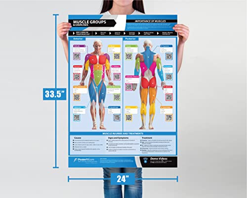 Set of 7 Gym Workout Posters - Laminated Muscle Group Exercise Charts with Free Video Guides, Dumbbell, Kettlebell and Barbell Exercise for Full Body Training and Home Gym Fitness Room Décor