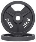 Fitvids 2-Inch Olympic and 1-Inch Standard Cast Iron Weight Plate for Strength Training & Weightlifting, Multiple Weights Available - color: Standard (1-Inch Center), style: 45LB Pair