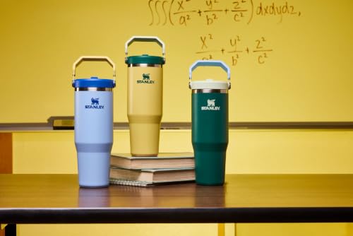STANLEY IceFlow 2.0 Flip Straw Tumbler with Handle 20 oz | Twist On Lid and Flip Up Straw | Leak Resistant Water Bottle | Insulated Stainless Steel | BPA-Free | Daffodil Emerald - color: Daffodil Emerald, size: 20 Ounces