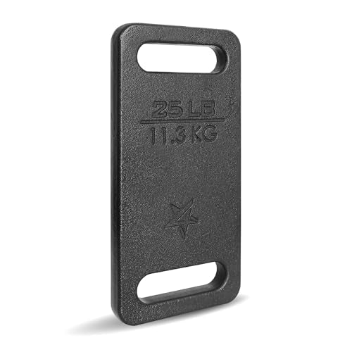 Yes4All Cast Iron Rucking Weight for Backpack, Training Weight Plate with Ergonomic Rounded Handle, Protective Glossy Finish for Weighted Walking, Hiking, Rucking, Resistance Workout - style: D. 25LB