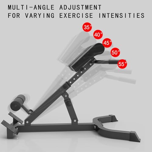 Adjustable Hyperextension Bench, Foldable Roman Chair, Back Extension Equipment, Black, Home Gym Workout