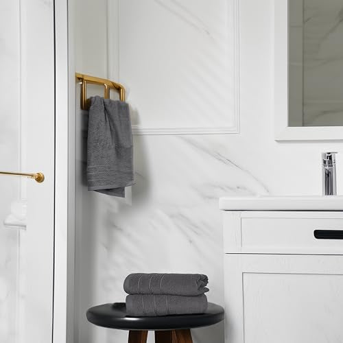 Tens Towels Pack of 6 Hand Towels, 100% Cotton, Lighter Weight, Quick to Dry, 16 x 28 Inches, Super Soft & Absorbent, Perfect for Bathroom & Kitchen, Dark Grey - color: Dark Grey