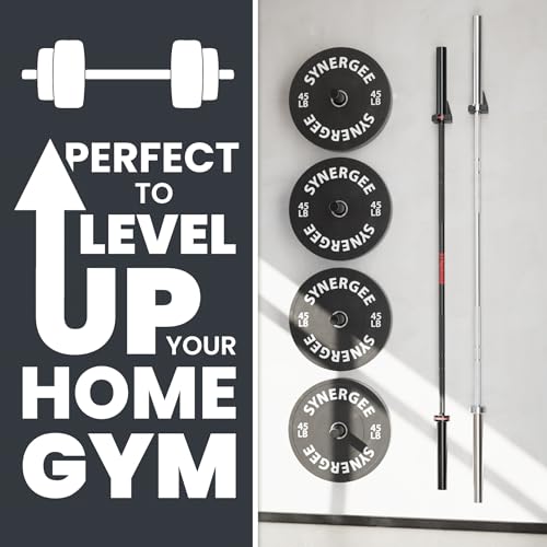 Synergee Wall Mounted Barbell Holder – Heavy Duty Gym Accessory Rack - color: b) Double Bracket Kit