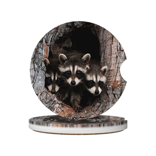 Cute Raccoon Car Coasters for Cup Holders, 2 Pack Absorbent Ceramic Drink Cup Coaster for Women Men, Auto Interior Accessories - color: T20