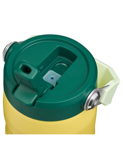 STANLEY IceFlow Flip Straw 2.0 Water Bottle 16 oz | Built-In Straw with Larger Opening | Lightweight and Leak Resistant | Insulated Stainless Steel | BPA-Free | Daffodil Emerald - color: Daffodil Emerald, size: 16 Ounces