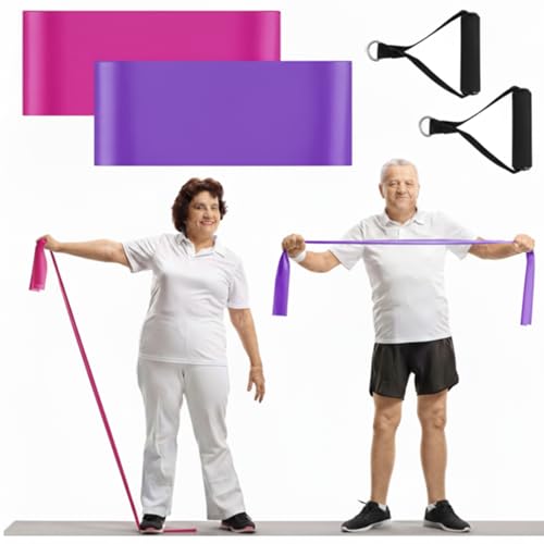 2 Pcs Resistance Band with Handles Chair Exercise Equipment for Seniors Physical Therapy Band Gifts for Elderly Women Rehab, Physical, Grandma, Grandpa - color: Rose Red,Purple