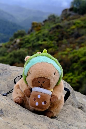 Rock Climbing Chalk Bag – Cute Plush Chalk Bag for Bouldering, Gym, Indoor & Outdoor Climbing – Drawstring Closure, Adjustable Waist Belt – Fun Character Design for Climbers - color: Capybara Boba