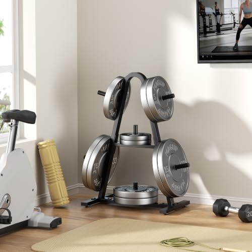 Weight Plate Rack 400LBs, Weight Tree Holder for Home Gym, Barbell & Bumper - size: for Standard Weight Plate