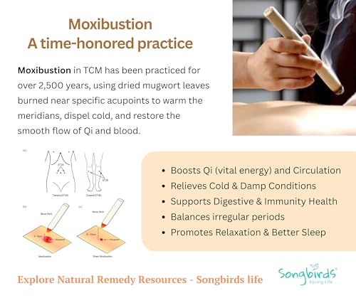 Upgraded Design Moxibustion Gua Sha Kit with Natural Bian Stone, Moxa Herbal Skincare | Stone Massage Kit for Relaxation & Self-Care