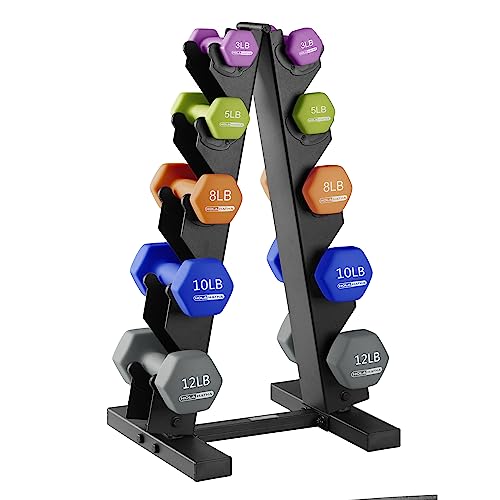 HolaHatha 1, 2 and 3 lb Neoprene Dumbbell Strength Training Weight Set with Rack - color: Multicolor, size: 76 LB