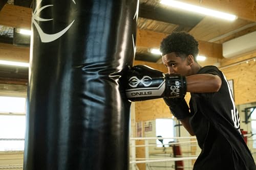 STING Armalite Boxing Gloves, Durable Boxing Equipment for Boxing Training, Balanced Weight Distribution | SLV3 Outer Skin, SAS Layering, Hi Flow Core Padding, Comfortline 3D Liner - color: Black/Silver, size: 14 Oz
