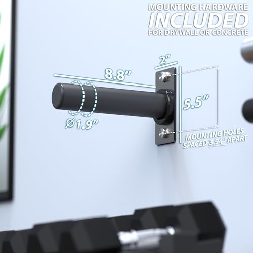 Synergee Weight Plate Pegs – Wall Mounted 2" Plate Holder Double Peg
