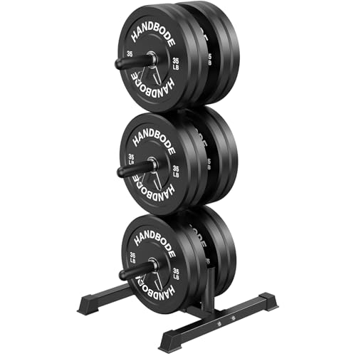 HANDBODE Weight Plate Rack with Barbell Storage, 1100 lbs Capacity | 6-Peg Vertical Holder for 1- or 2-Inch Plates, Heavy-Duty Organizer for Home Gym - style: 420 LB - Set with Rack