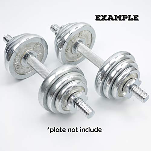 Threaded Dumbbell 12.6/14.2/15.7/18.1/19.7inch(30/35/40/46/50cm) Handles/Adjustable Dumbbell Bar Handles - Fit 1 inch Standard Weight Plate - Weightlifting Accessories - Sold in Pair - size: 12.6 inch