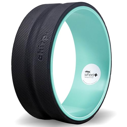 Chirp Wheel+ Foam Roller, Back & Neck Pain Relief, Mint 12-Inch - size: 12" - Gentle
