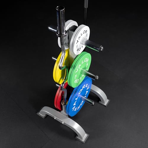 Valor Fitness Weight Plate Rack with Barbell Holders – Heavy-Duty Steel Storage Tree with 6 Pegs and 2 Vertical Bar Sleeves for Standard and Olympic Plates – 800 lb Capacity for Home & Garage Gyms - color: C: BH-7 Olympic Plate Storage Rack