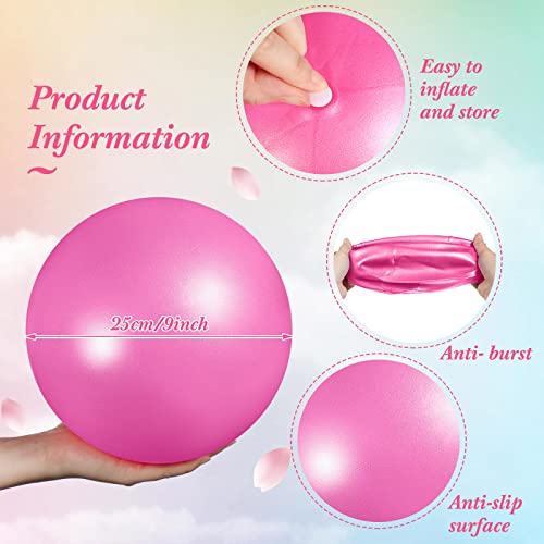 Aoriher 10 Pack 9 Inch Small Pilates Ball Bulk Mini Exercise Ball Portable Non-Slip Workout Yoga Balls with Air Pump for Stability, Barre, Fitness, Balance, Physical &Core, Gym Home Office Use - color: Pink, Purple