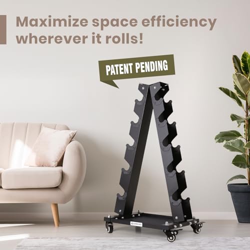 LIONSCOOL Premium Solid Steel Dumbbell Rack Stand Only, A-Frame Portable Weight Storage Organizer with Optional Tray and Wheels, Perfect for Home Gym Fitness Storage (200LBS/300LBS/700LBS Weight Capacity Available) - style: Medium, 300 LBS
