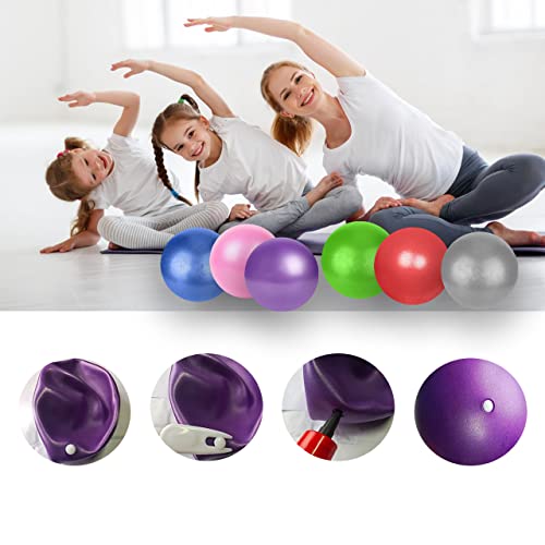 9 Inch Mini Exercise Pilates Yoga Ball, Stability Ball for Yoga Barre Training and Physical Therapy Improves Balance Core Strength with Inflate Pump(6 Pcs)