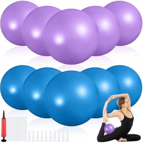 Aoriher 10 Pack 9 Inch Small Pilates Ball Bulk Mini Exercise Ball Portable Non-Slip Workout Yoga Balls with Air Pump for Stability, Barre, Fitness, Balance, Physical &Core, Gym Home Office Use - color: Blue,Purple
