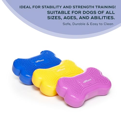 FitPAWS® K9FITbone® - Mini, Blue (Set of 2) | Dog Balance Training Platform & Exercise Equipment | Workout Tool for Strength, Core & Stability - color: Blue