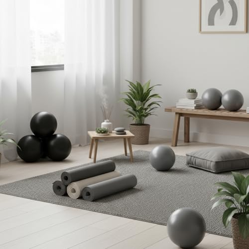 Aoriher 10 Pack 9 Inch Small Pilates Ball Bulk Mini Exercise Ball Portable Non-Slip Workout Yoga Balls with Air Pump for Stability, Barre, Fitness, Balance, Physical &Core, Gym Home Office Use - color: Gray,Black