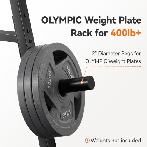 Weight Rack for Home Gym, 400 LB Weight Tree - size: for Olympic Weight Plate