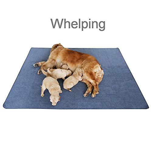 Peepeego Non-Slip Dog Pad 72"x72", Washable Pee Pad Waterproof for Training, Whelping - size: 72x72 Inch (Pack of 1)