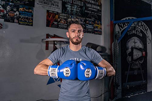 Pro Mex Professional Training Gloves V 3.0 - color: Blue, size: 14 oz