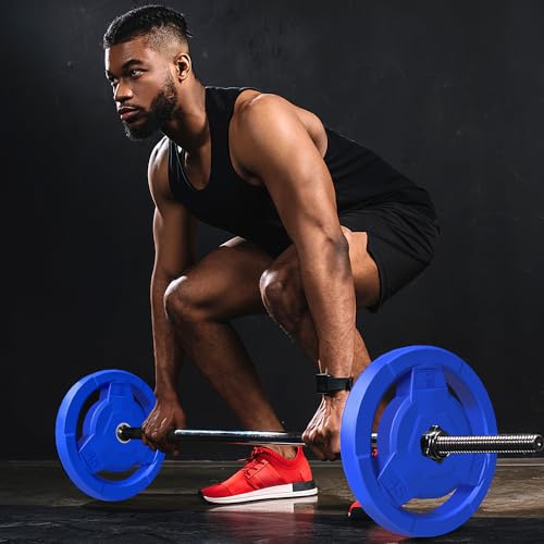 Color Coded 2-Inch Rubber Coated Olympic Grip Plate for Barbell,Solid Cast Iron Weight Plates for Strength Training, Weightlifting, Home Gym, 2.5/5/10/15/25/35/45 LB, Single and Pair - color: 275LB-SET