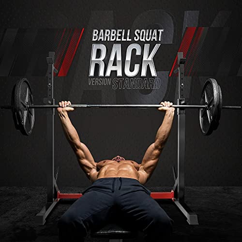Yes4All Squat Rack for Home Gym, Adjustable Barbell Stand Rack, Multi-Function Weight Lifting, Dip Bar Station, Bench Press Rack Stand, Weight Plate Storage - Capacity Up to 600LBS - color: Squat Rack - 500 lbs