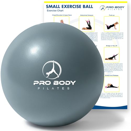 ProBody Pilates Ball 9 Inch - Small Exercise Ball for Stability, Barre, Core, Ab Workouts, Yoga, & Physical Therapy - color: Slate