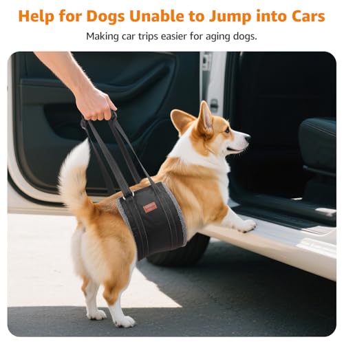 LOOBANI Portable Dog Sling for Back Legs, Hip Support Harness to Help Lift Dogs Rear for Canine Aid and Old K9 Cruciate Ligament Rehabilitation - color: Grey&Black, size: Medium