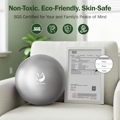 Slim Panda Pilates Ball, 9 Inch Small Exercise Ball, Anti Burst Mini Yoga Ball for Stability, Workout, Barre, Core Strength, Physical Therapy, Balance, Stretching - color: Silver