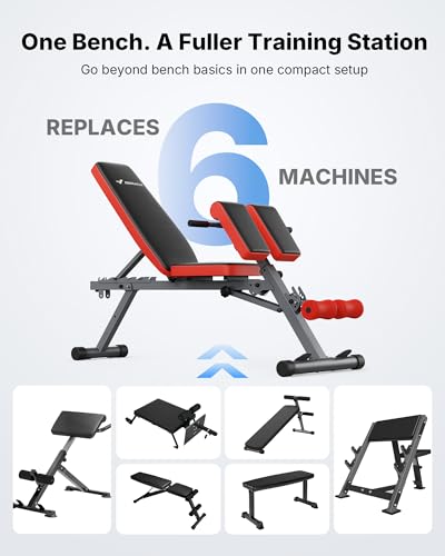 MERACH Roman Chair Back Extension, Adjustable Weight Bench, Home Gym Sit Up Bench for Glutes & Ab Workouts, Back Extension Machine, Hyperextension Roman Chair for Lower Back Pain Relief - size: Pro Max