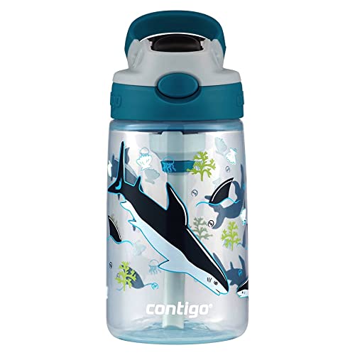 Contigo Aubrey Kids Water Bottle - color: Sharks, size: 14 oz (Pack of 1)