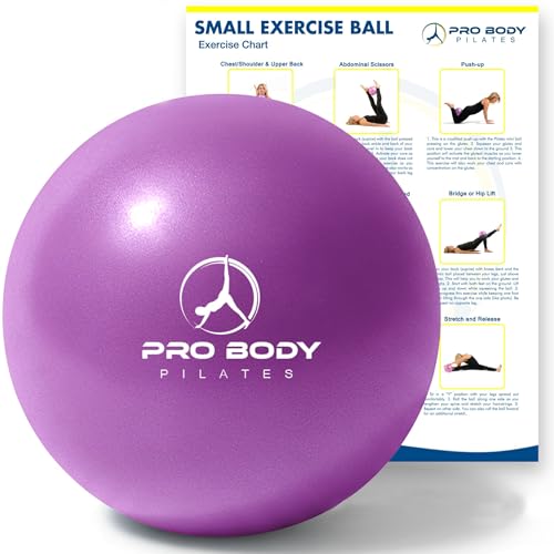 ProBody Pilates Small Exercise Ball - 9 Inch Workout Ball for Stability, Barre, Yoga, Core & Physical Therapy - color: Purple