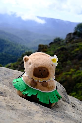 Rock Climbing Chalk Bag – Cute Plush Chalk Bag for Bouldering, Gym, Indoor & Outdoor Climbing – Drawstring Closure, Adjustable Waist Belt – Fun Character Design for Climbers - color: Capybara Hawaii
