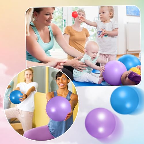 Aoriher 10 Pack 9 Inch Small Pilates Ball Bulk Mini Exercise Ball Portable Non-Slip Workout Yoga Balls with Air Pump for Stability, Barre, Fitness, Balance, Physical &Core, Gym Home Office Use - color: Blue,Purple