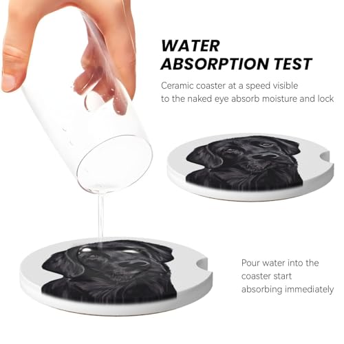 Black Lab Dog Car Coasters for Cup Holders, 2 Pack Absorbent Ceramic Drink Cup Coaster for Women Men, Auto Interior Accessories - color: T25