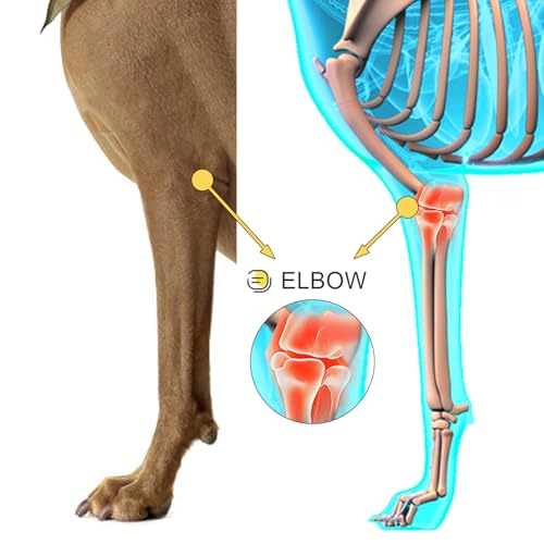 Dog Elbow Protector Brace for Canine Pads, Elbow&Shoulder Wraps with Metal Splint Support for Callus, Hygroma, Dysplasia, Arthritis, Dislocation, Pressure Sores, Comfort Fit for All-Day Wear - size: L-Left