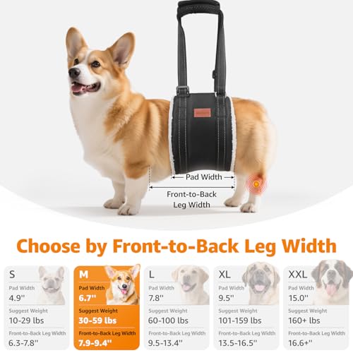 LOOBANI Portable Dog Sling for Back Legs, Hip Support Harness to Help Lift Dogs Rear for Canine Aid and Old K9 Cruciate Ligament Rehabilitation - color: Black, size: Medium