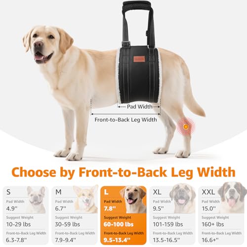 LOOBANI Dog Sling for Large Dogs Hind Leg Support, Portable Dog Lift Harness for Back Legs, Comfortable Leg Support Assistance for Elderly Dogs with Hip, ACL Brace, Senior, Injured - color: Grey&Grey, size: Large