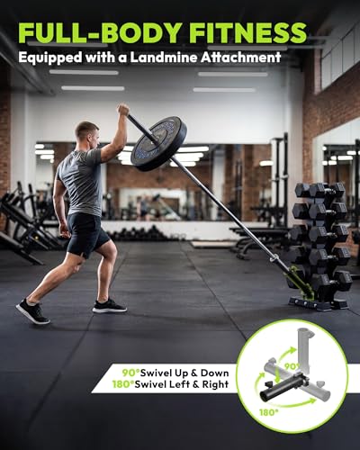 HANDBODE Rubber Coated Hex Dumbbell Set with A-Frame Rack, 100 lb - 600 lb Multiple Options Weight, Hexagon Non-Rolling Shape, Ergonomic Knurled Handle, Home Gym Equipment for Strength Training - style: 400 lb (20, 30, 40, 50, 60 lb) X 2 & Rack