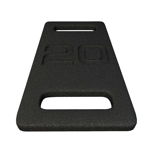 Fitvids Cast Iron Plate, Weighted Plate for Swings, Squat, Strength Training, Fitness Workout, and Home Exercises