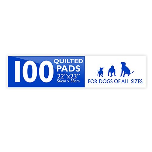 Four Paws Wee-Wee Super Absorbent Unscented Pee Pads for Dogs & Puppies with Insta-Rise Border, Leak-Proof Dog Housebreaking Potty Training Floor Protection, 22" x 23", 100 Count - size: 100 Count