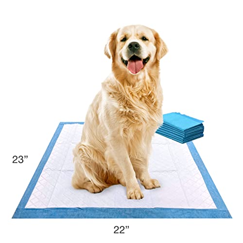 Four Paws Wee-Wee Superior Performance Dog Pee Pads, 7 Count | Quilted leak-proof puppy pads, dog housebreaking & potty training, 24-hour floor protection, pet supplies, 22" x 23" - size: 7 Count