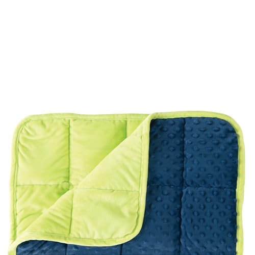 MindWare Sensory Genius Weighted Lap Pad – 24” x 19 1/2” 5 pounds – Ideal for Kids & Adults – Sensory Pad for Kids – Great for Classroom, Work or Home – Ages 5 & Up
