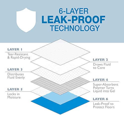 Four Paws Wee-Wee Superior Performance Dog Pee Pads, 10 Count | Quilted leak-proof puppy pads, dog housebreaking & potty training, 24-hour floor protection, pet supplies, 22" x 23" - size: 10 Count